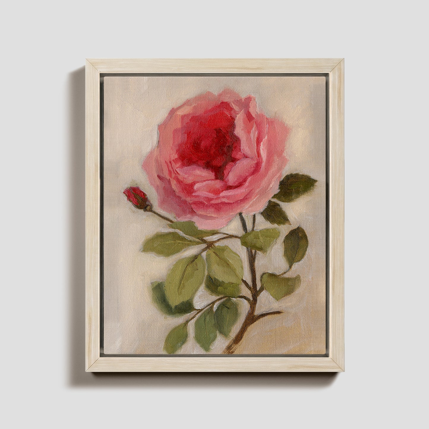 Day 3 - Garden Rose