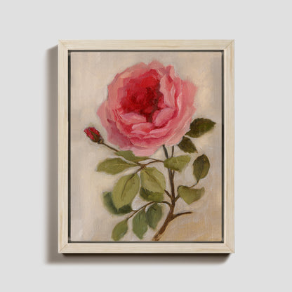 Day 3 - Garden Rose