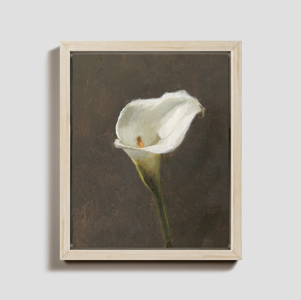 Day 22 - Calla Lily