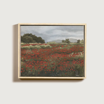 Poppy Fields with an Overcast Sky