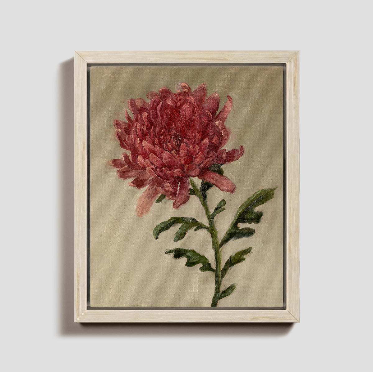 Day 14 - Chrysanthemum