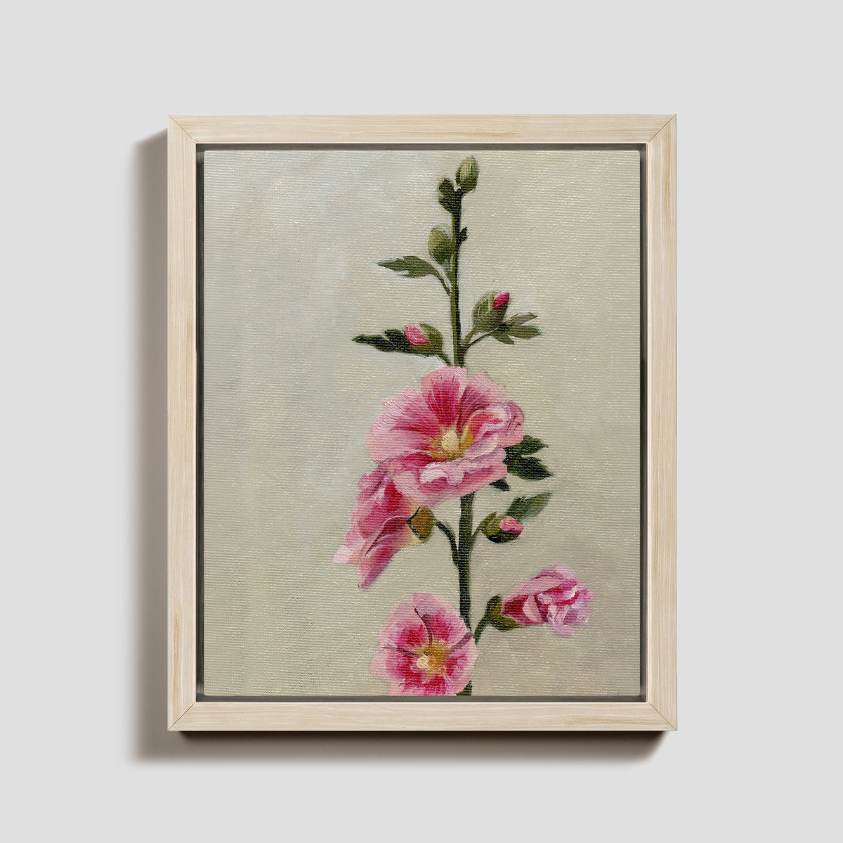 Day 28 - Hollyhock