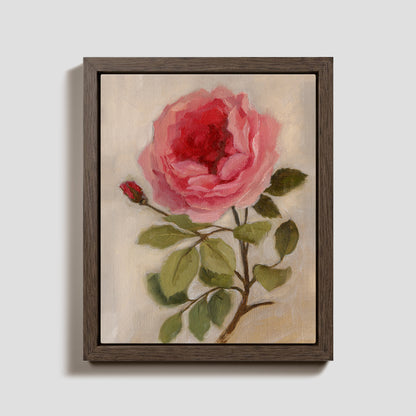 Day 3 - Garden Rose