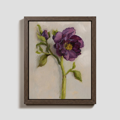 Day 4 - Hellebore