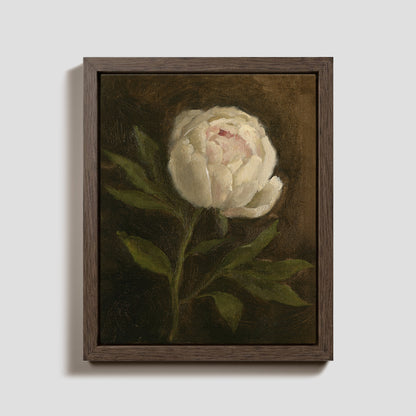Day 5 - Peony