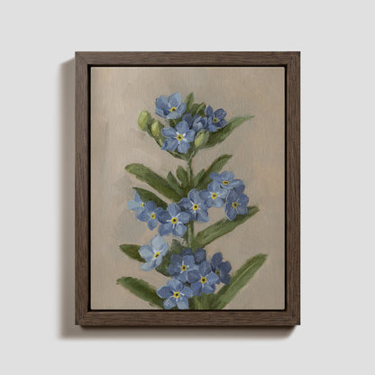 Day 13 - Forget Me Nots