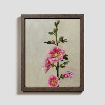 Day 28 - Hollyhock
