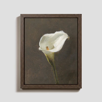 Day 22 - Calla Lily