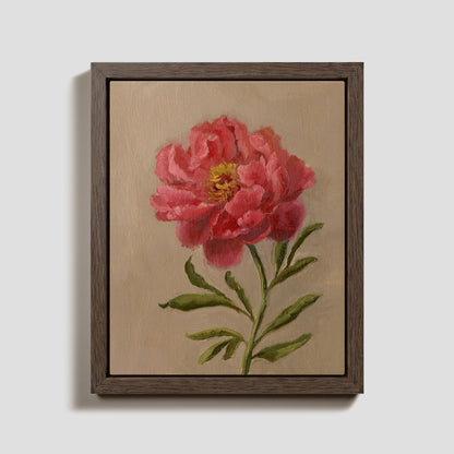 Day 11 - Peony