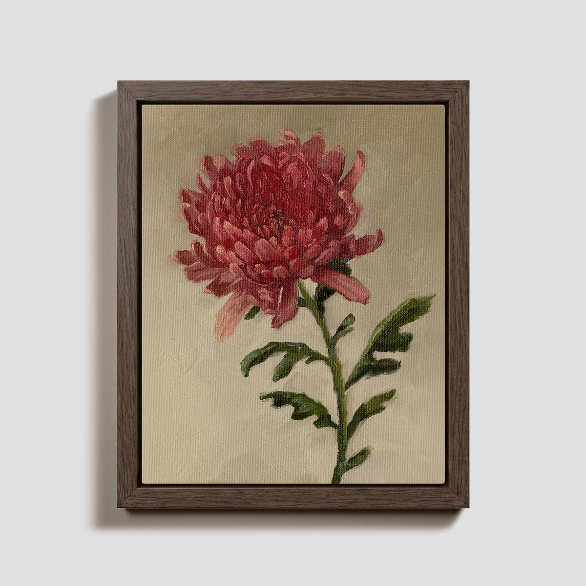 Day 14 - Chrysanthemum