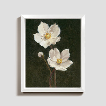 Day 27 - Anemone