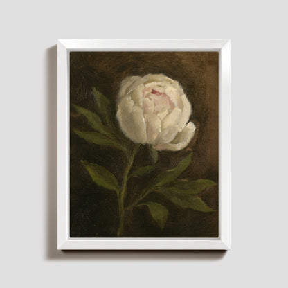 Day 5 - Peony
