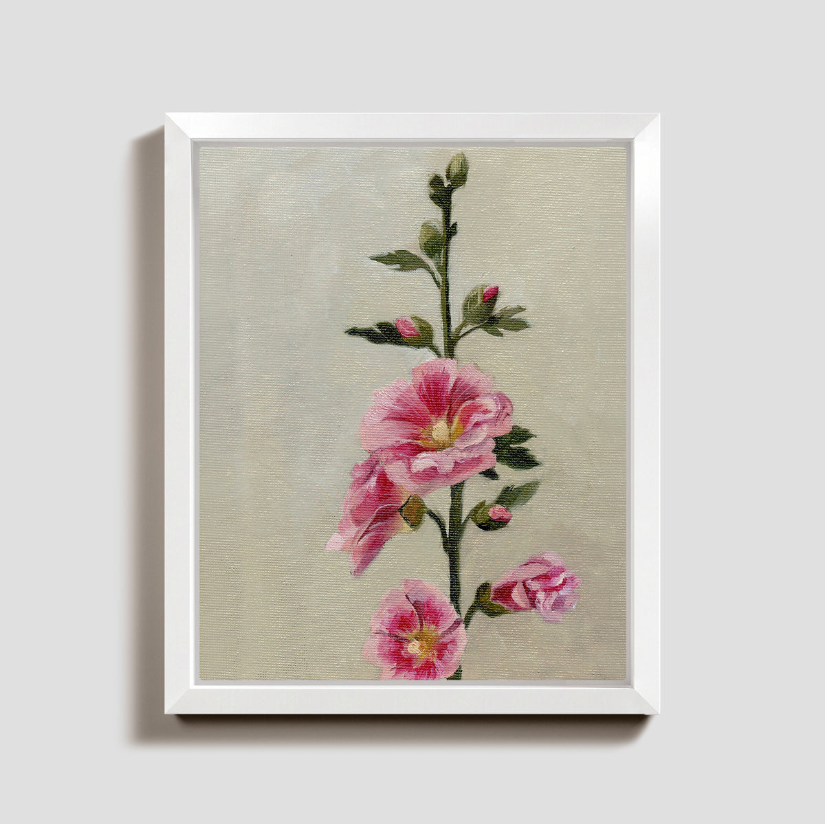 Day 28 - Hollyhock