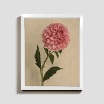 Day 16 - Dahlia