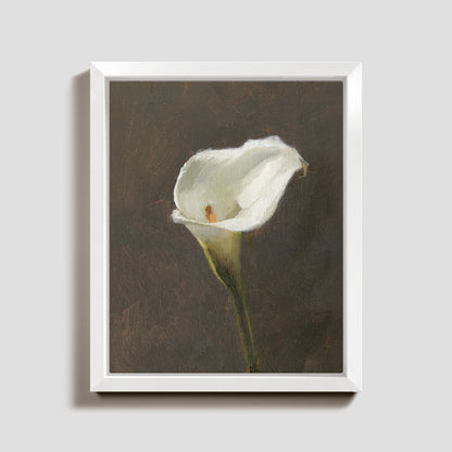 Day 22 - Calla Lily