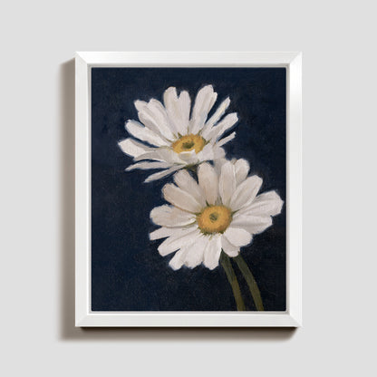 Day 21 - Daisies