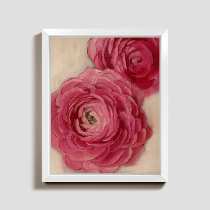 Day 6 - Ranunculus