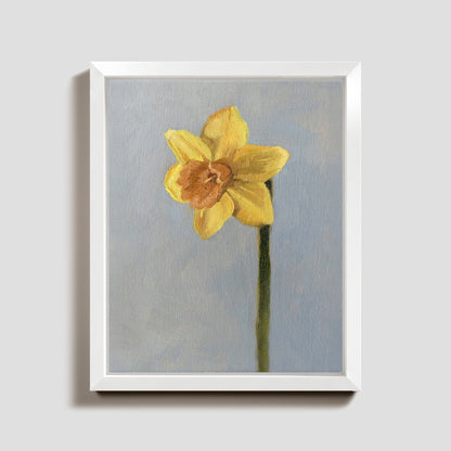 Day 26 - Daffodil