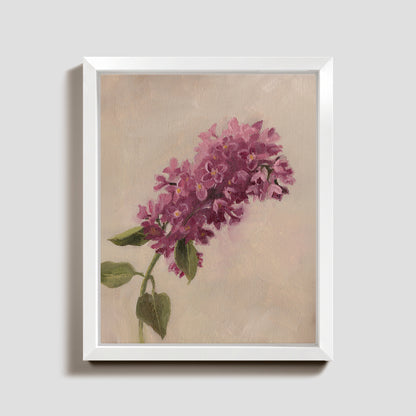 Day 23 - Lilacs