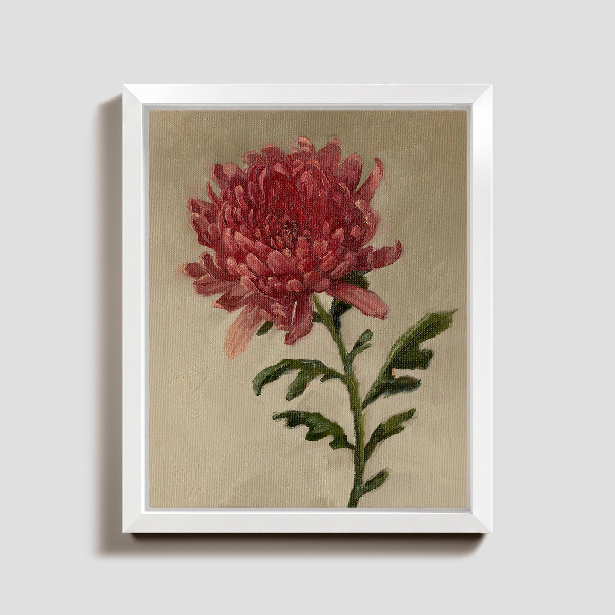Day 14 - Chrysanthemum