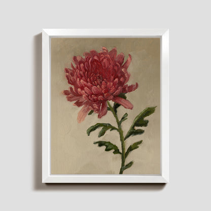 Day 14 - Chrysanthemum
