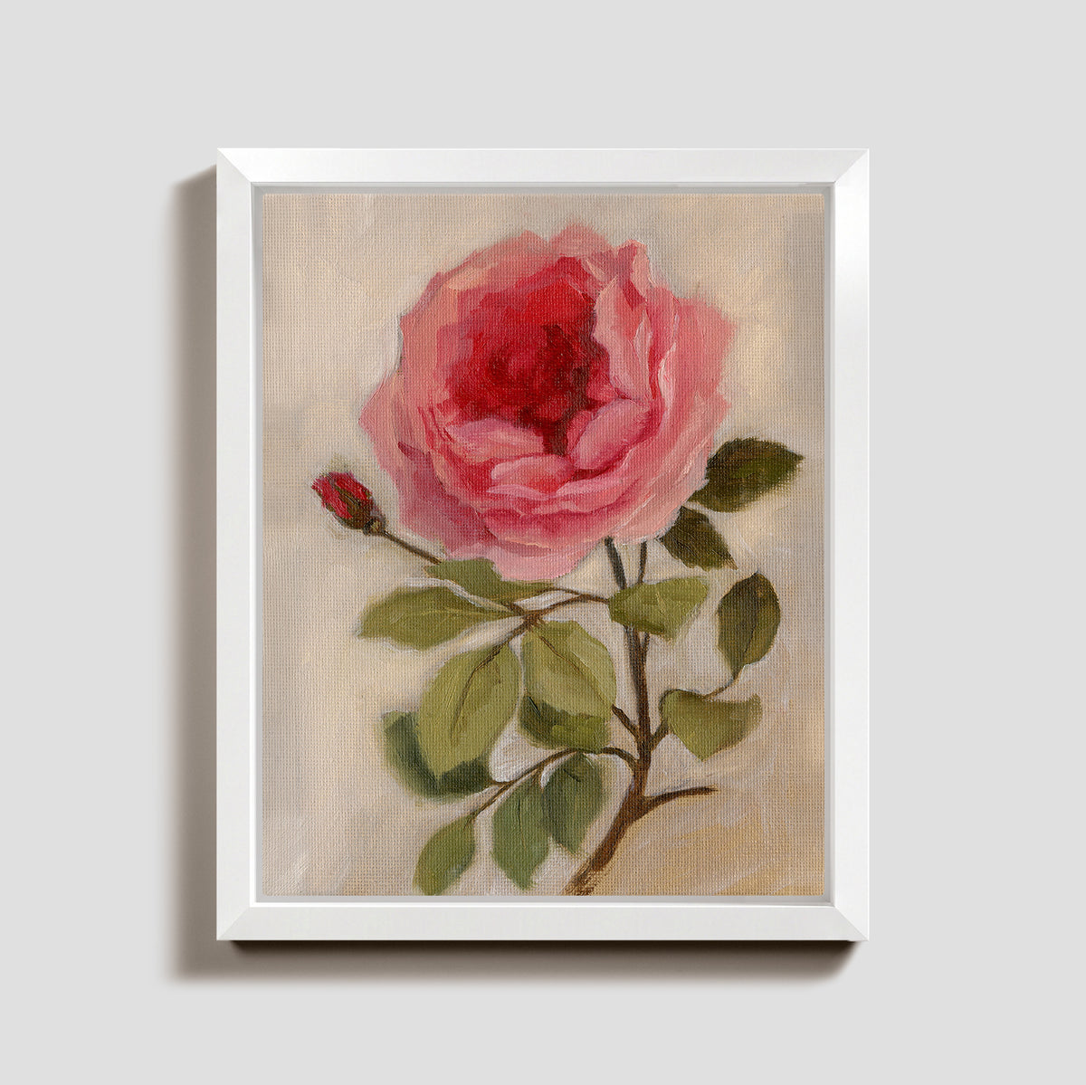 Day 3 - Garden Rose