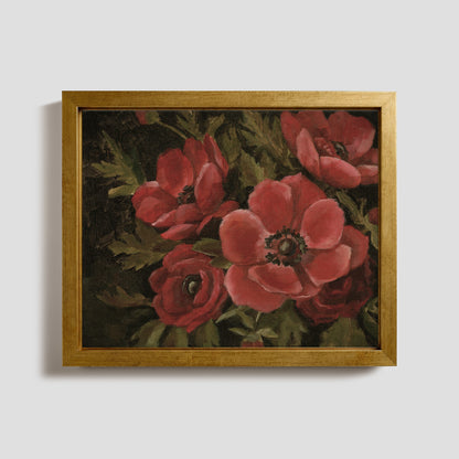 Red Anemones