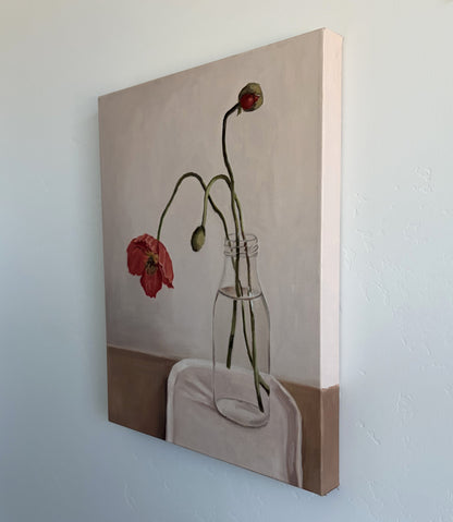Wild Poppy