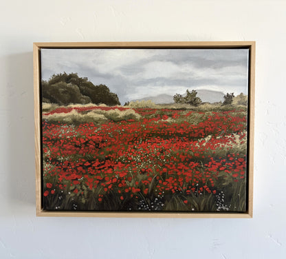 Poppy Field