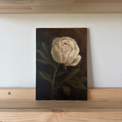 White Peony - Original Painting