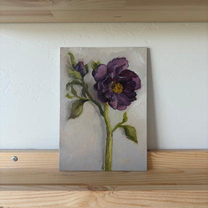 Purple Hellebore - Original Painting