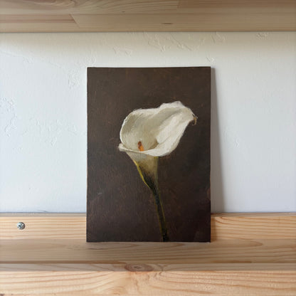 Calla Lily - Original Painting