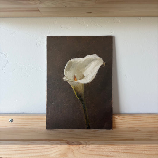 Calla Lily - Original Painting