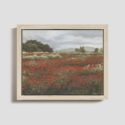 Poppy Fields