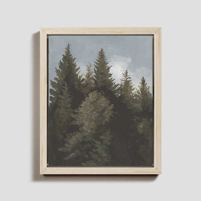 Winter Pines