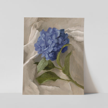 Day 12 - Hydrangea