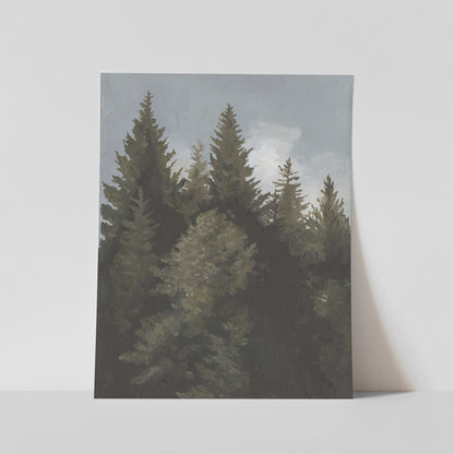 Winter Pines