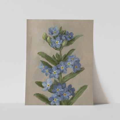 Day 13 - Forget Me Nots