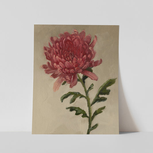 Day 14 - Chrysanthemum