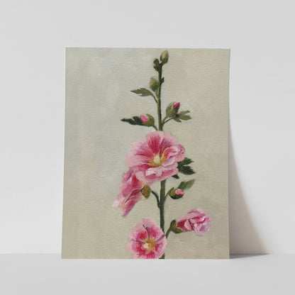 Day 28 - Hollyhock