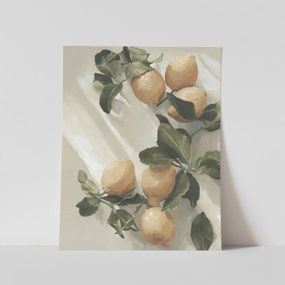 Sunlit Citrus