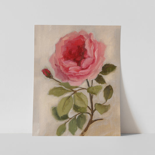 Day 3 - Garden Rose