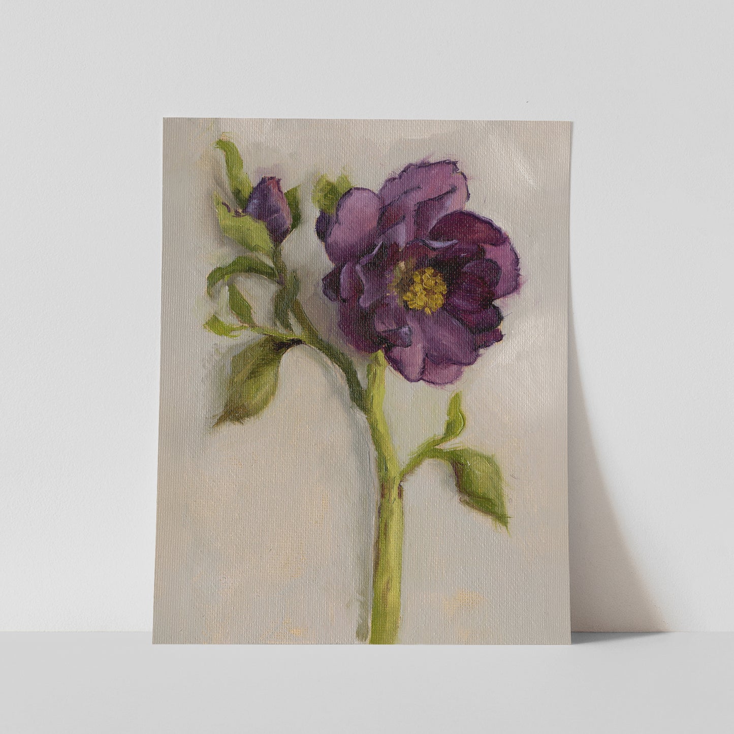 Day 4 - Hellebore