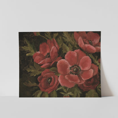 Red Anemones