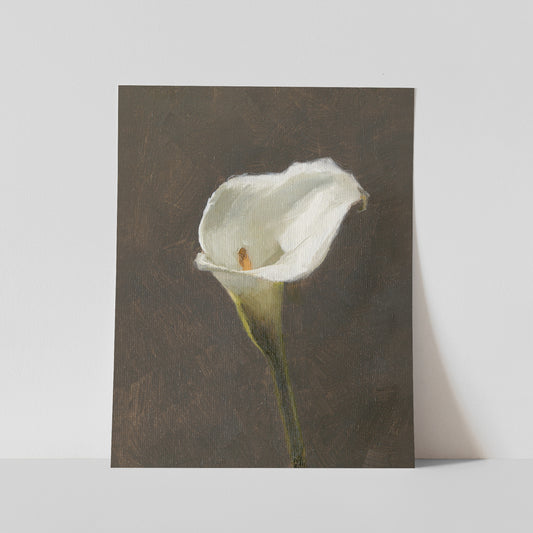 Day 22 - Calla Lily