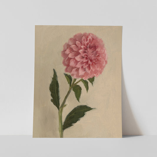 Day 16 - Dahlia