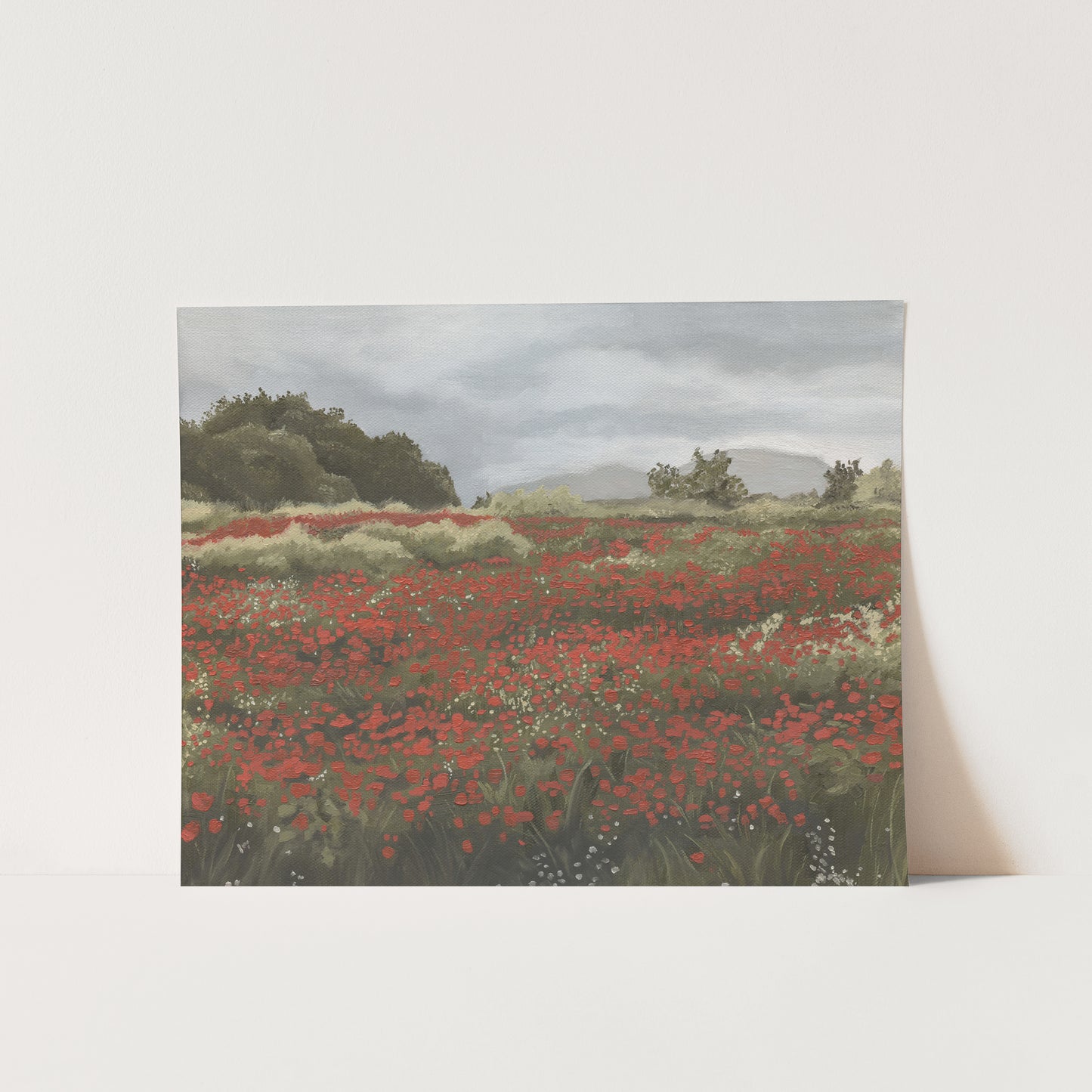 Poppy Fields with an Overcast Sky