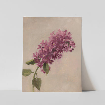 Day 23 - Lilacs