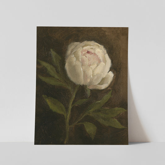 Day 5 - Peony
