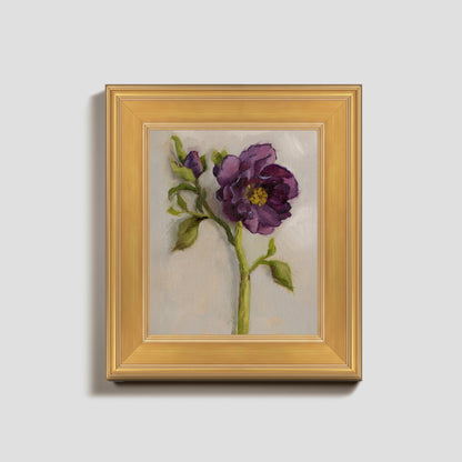 Day 4 - Hellebore